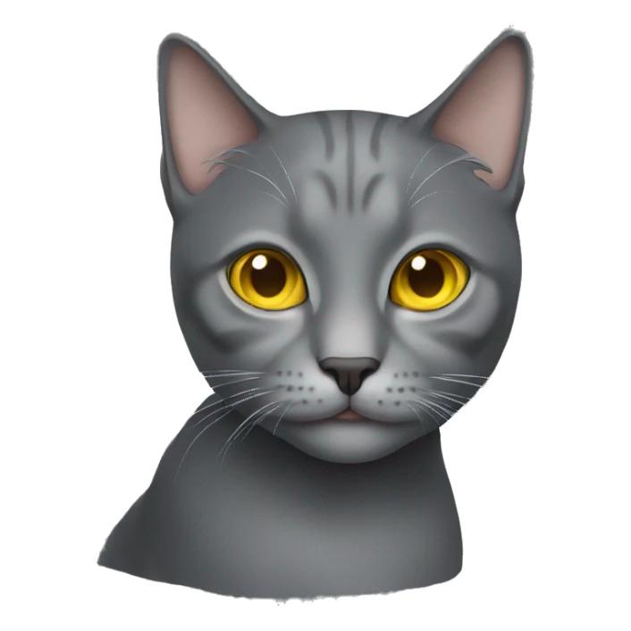 gray cat with yellow eyes  sticker