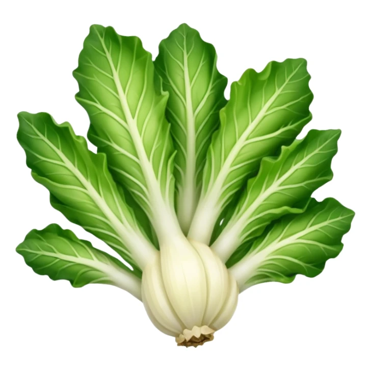 green blegian endive radicchio smooth sticker