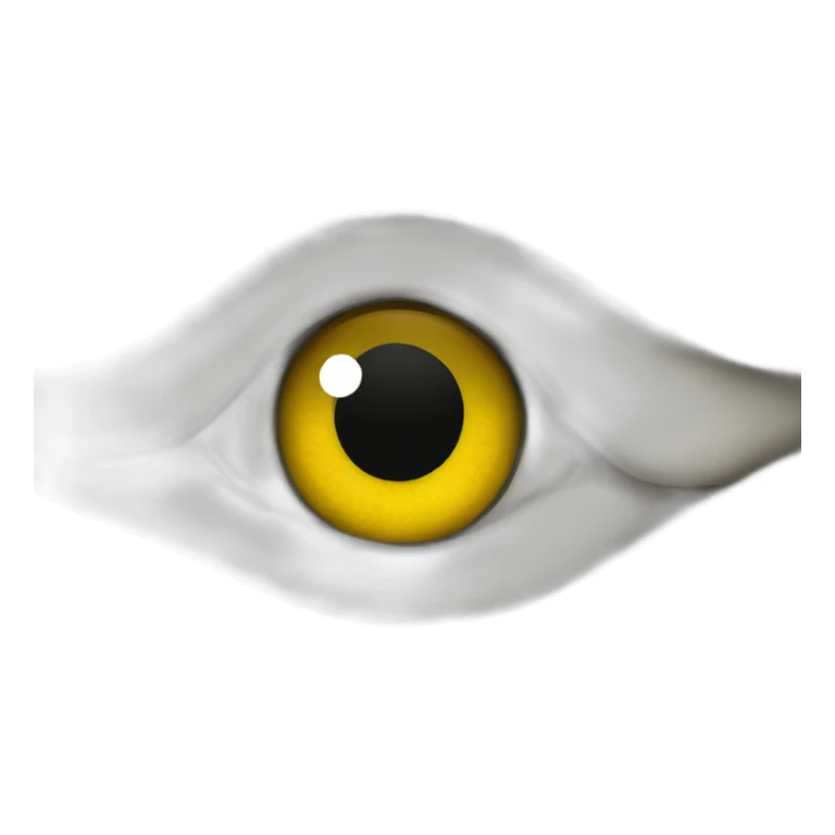 snake with one eye sticker