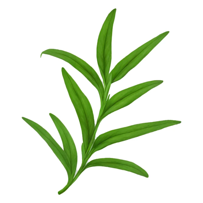 Tarragon leaves sticker