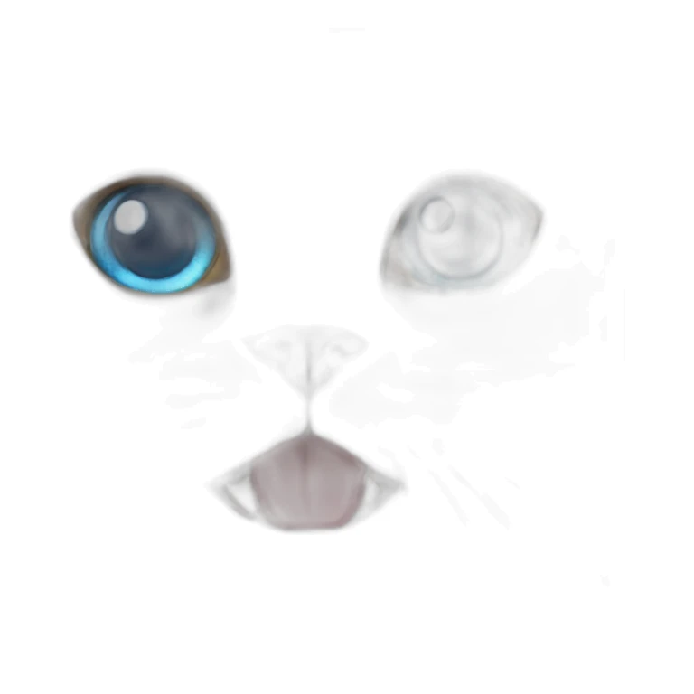 white persian cat blue eyes sticker