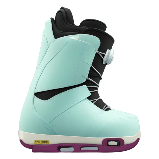 snowboarding boot, burton, boa sticker