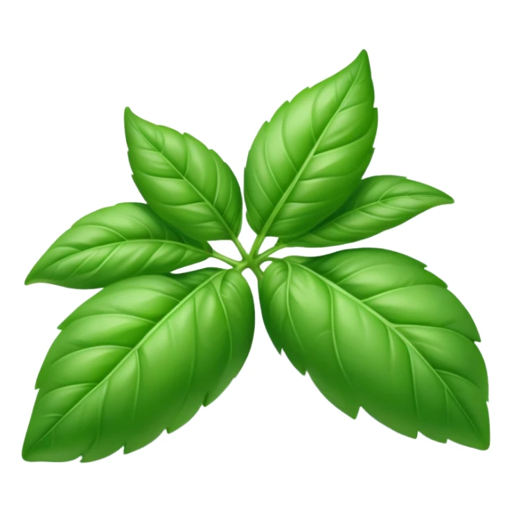 Fresh green basil herb leaf sticker