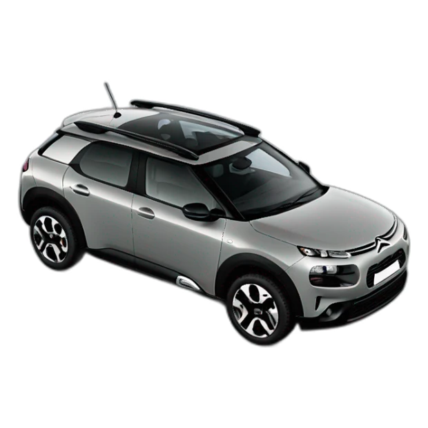 citroen c4 cactus gris grafito sticker