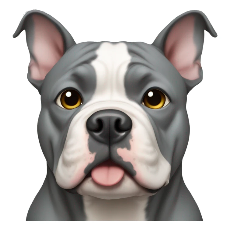 gray american bully sticker