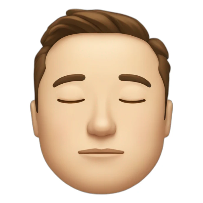Elon musk sleeping sticker