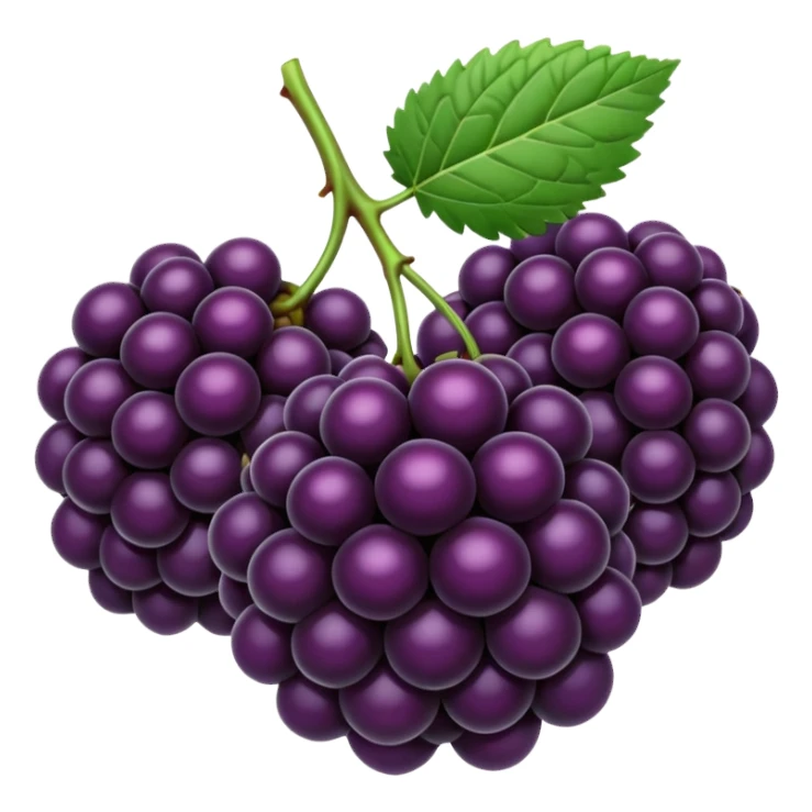 blackberryies sticker