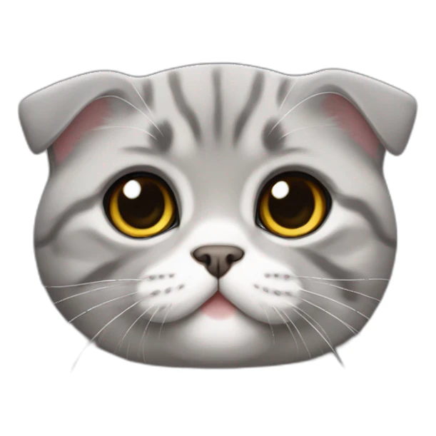 Scottish Fold gray Tommy hilfiger sticker