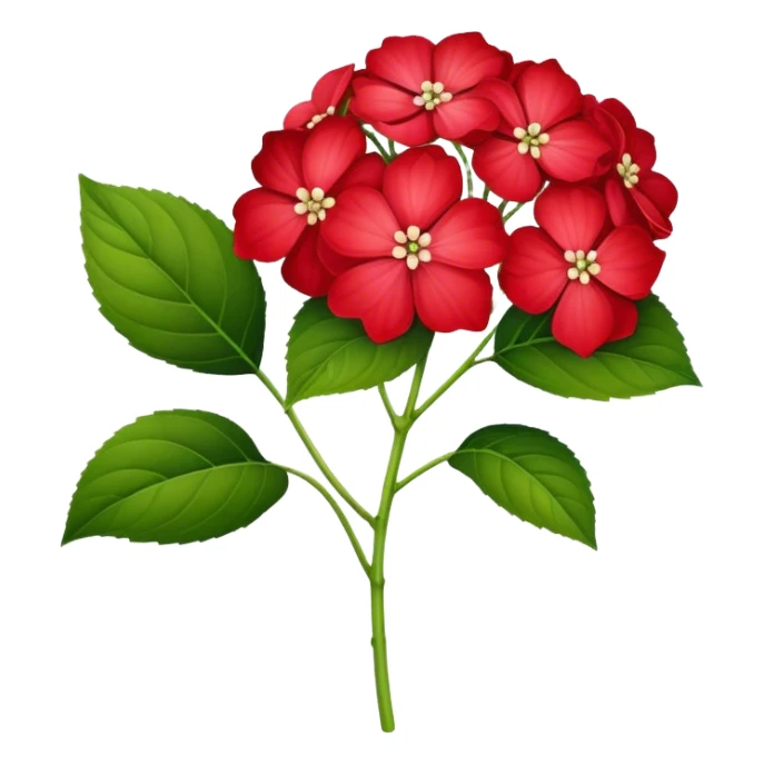 hortensia red sticker
