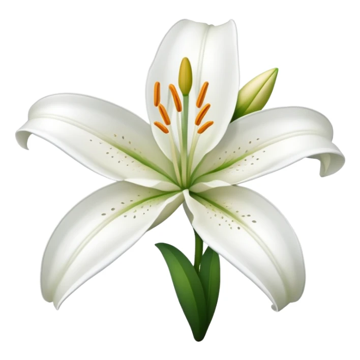 A lily flower sticker