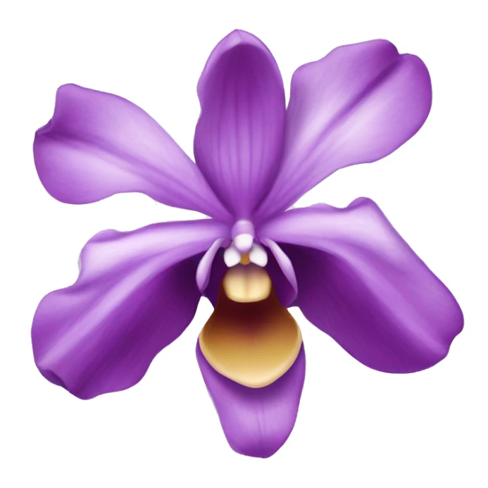 purple orchidea sticker