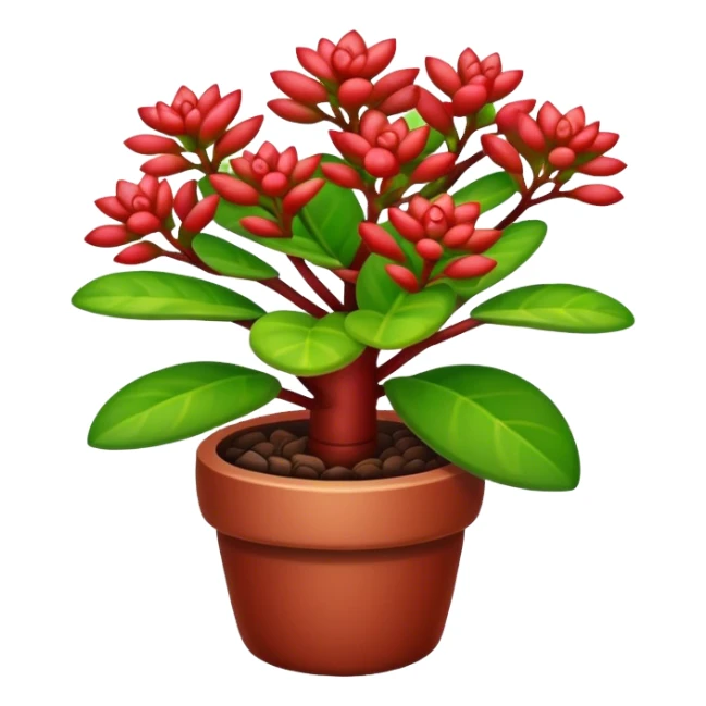 Crassula Ovata Golum sticker
