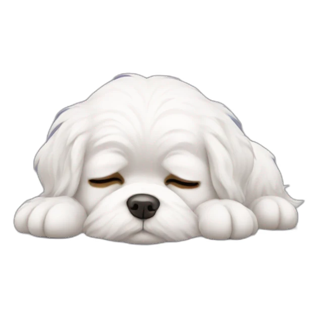 Maltese falling asleep sticker