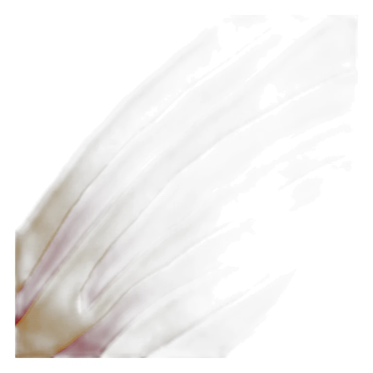 catalon flag sticker