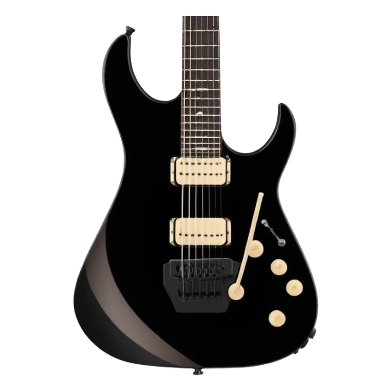 Mayones duvell elite guitar sticker