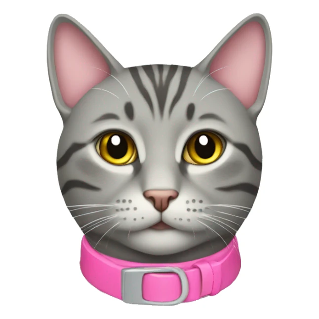Grey tabby cat with a pink collar sticker