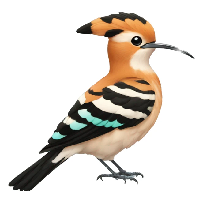 Eurasian hoopoe sticker