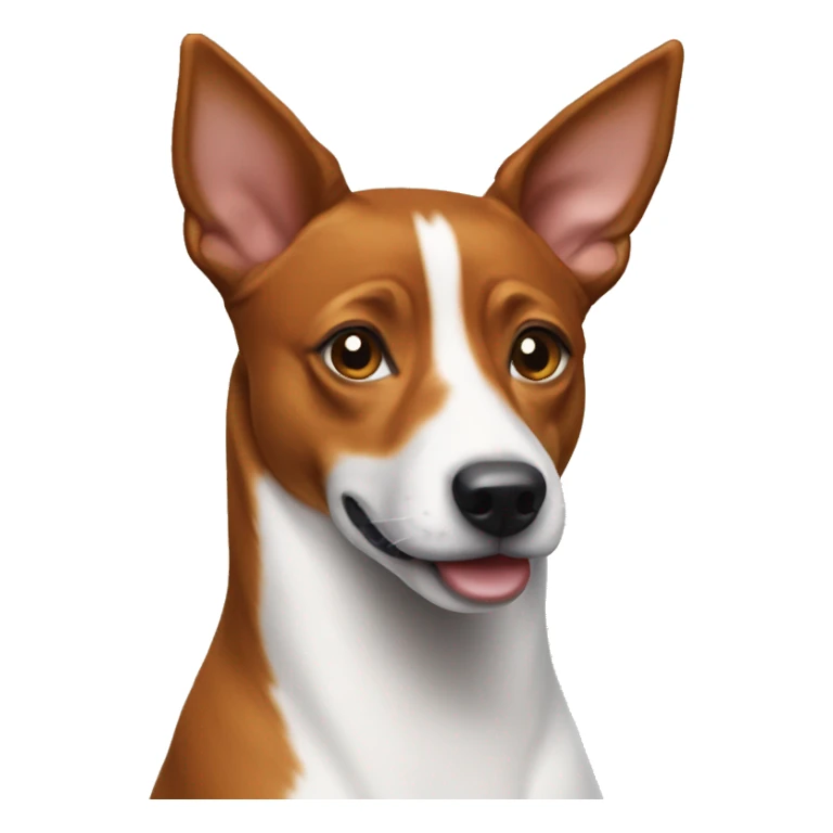 Basenji dog  sticker