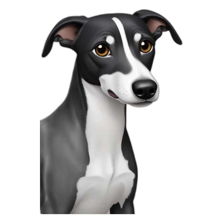 all black whippet dog sticker