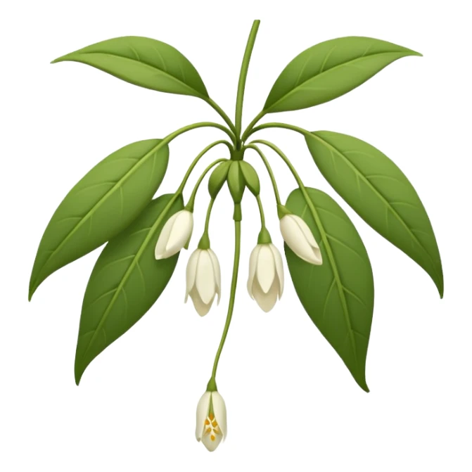 wilted jasmine emoji sticker