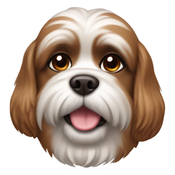 brown shitzu dog  sticker