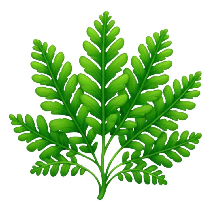 Selaginella  sticker