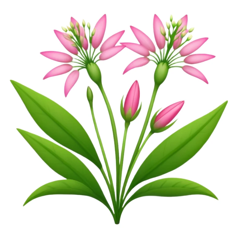 Helonias Bullatas sticker