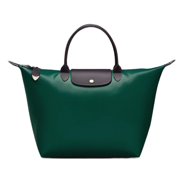 Longchamp dark green without strap  sticker
