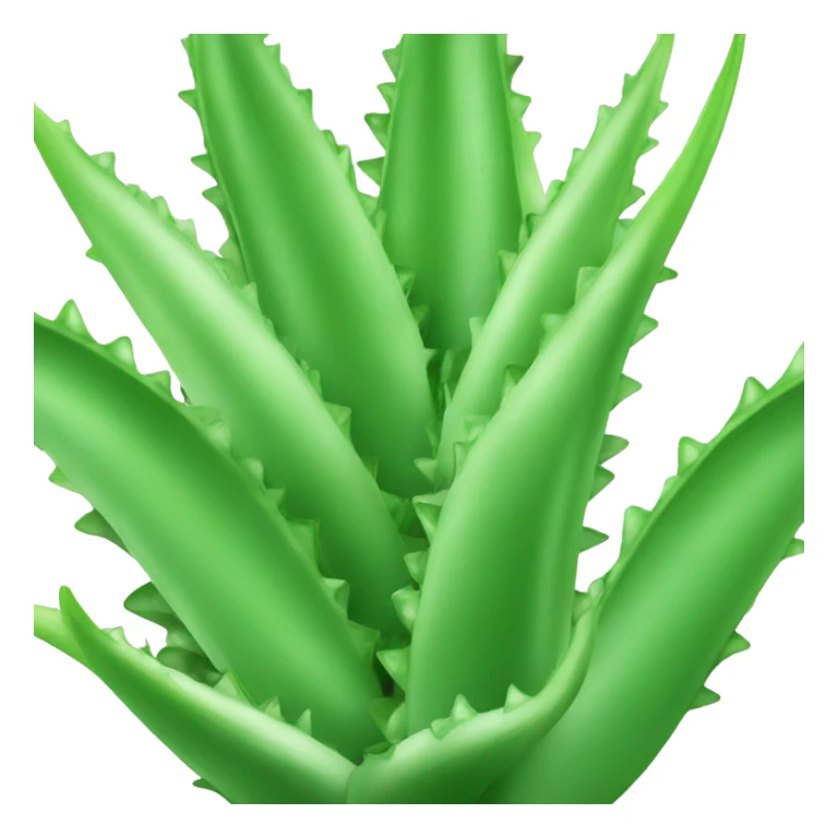 Aloe Vera  sticker