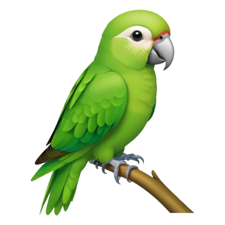 Green Quaker Parrot sticker