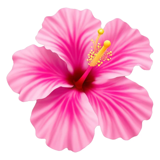 hibiscus flower pink sticker