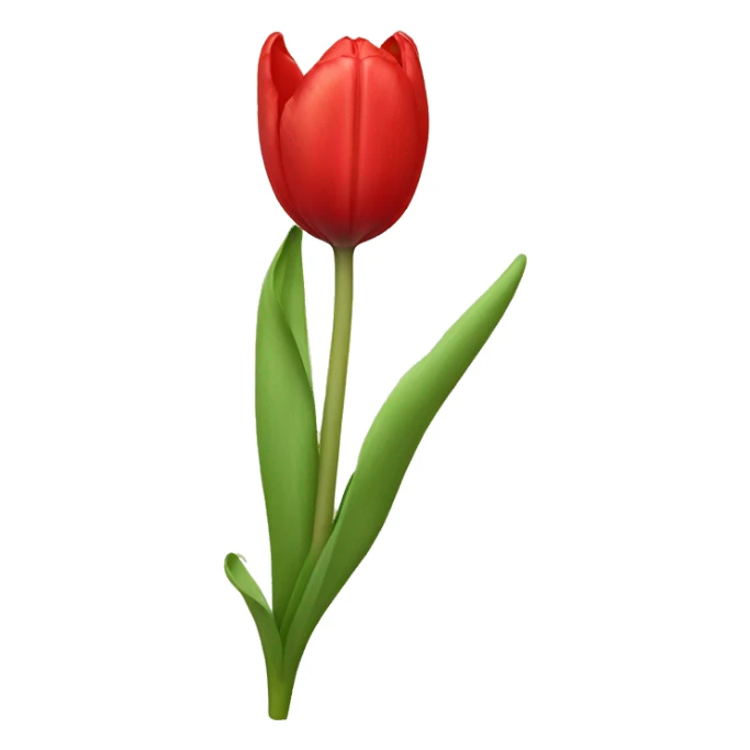 Red tulip sticker