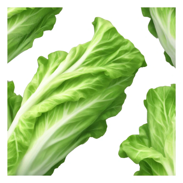 Romaine lettuce sticker