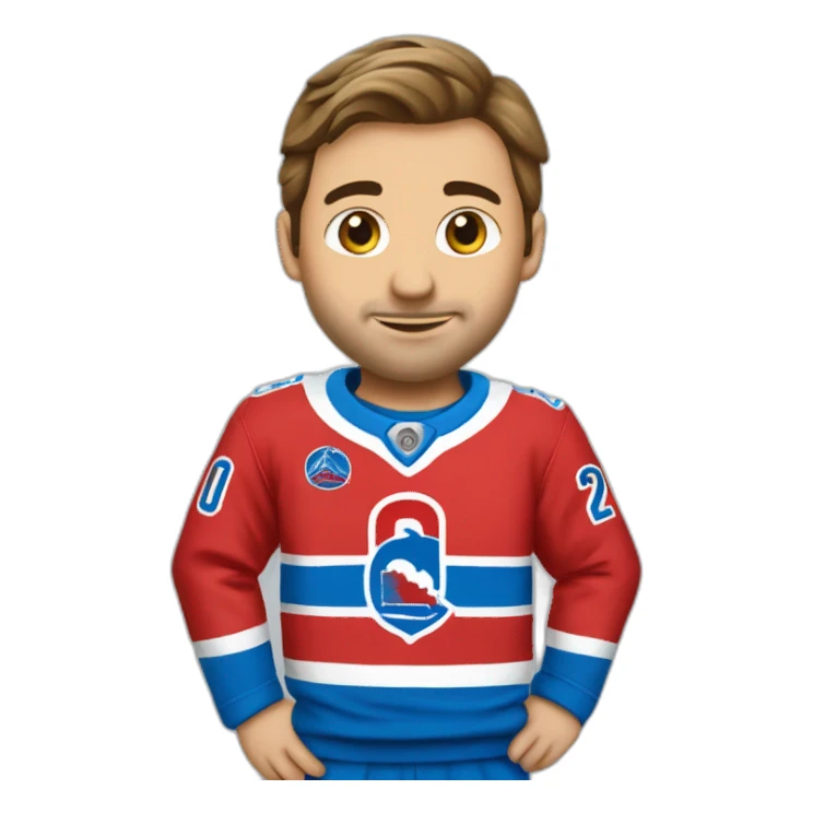 chandail des Nordiques de québec sticker