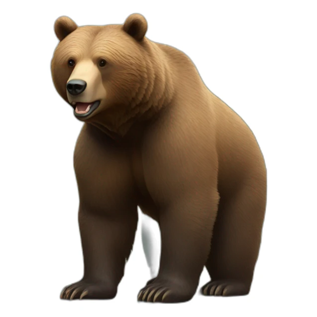 brown bear with urban flow sticker