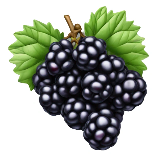 1 Blackberry fruit sticker