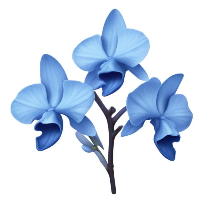 Blue orchid flowers  sticker