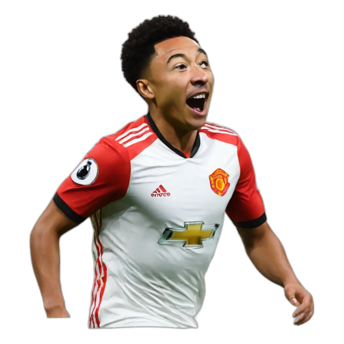 Lingard sticker