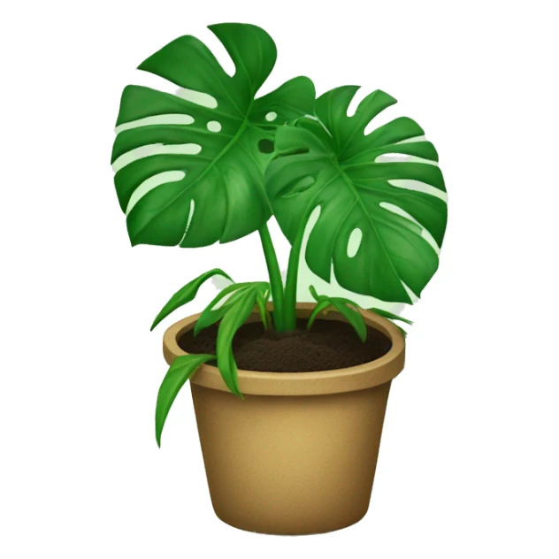 Monstera plant in soil sticker