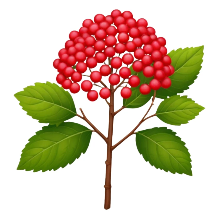 Red viburnum sticker