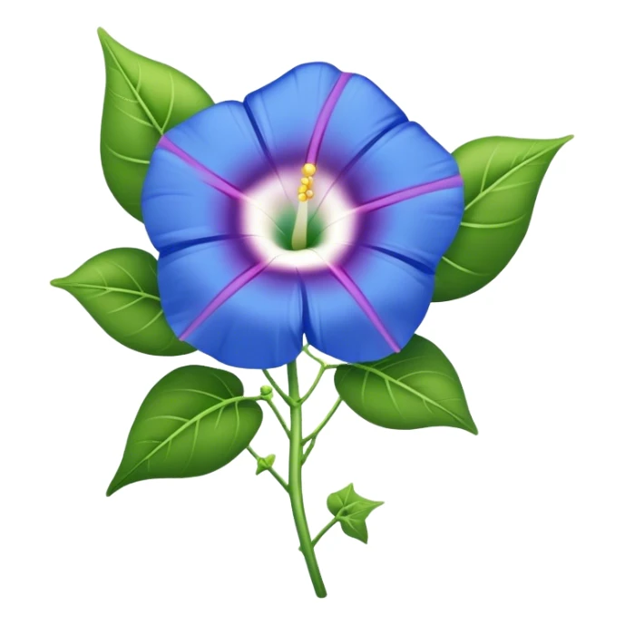 single Morning Glorysuper, stem sticker