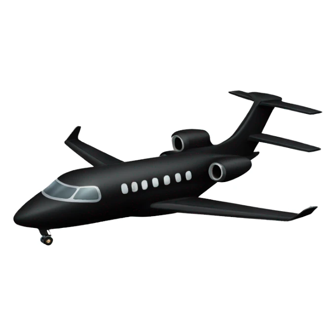 All Black private plane sticker