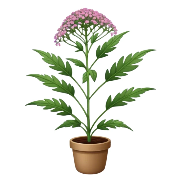 Valerian plant  sticker