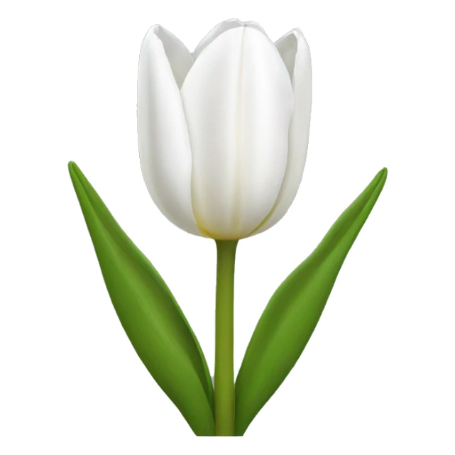White tulip sticker