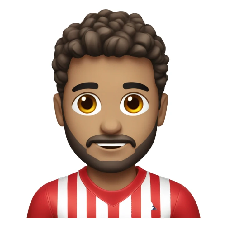 atletico madrid sticker