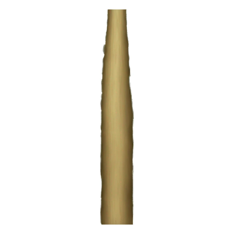 araucaria de norfolk sticker