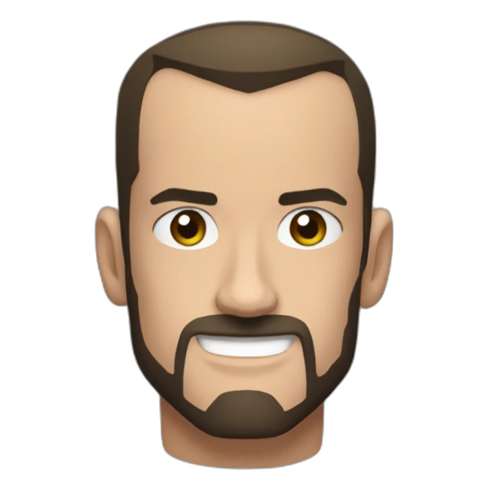 Wwwe cm punk sticker