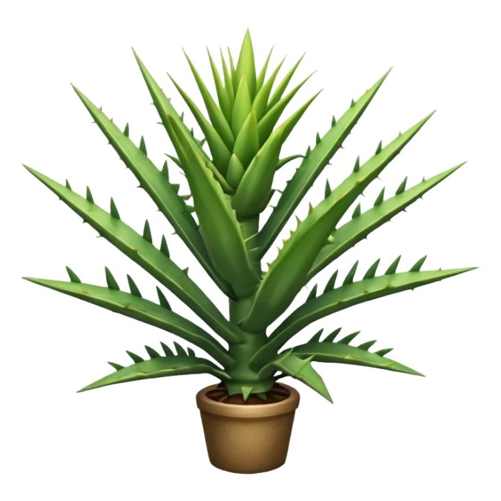Maguey sticker
