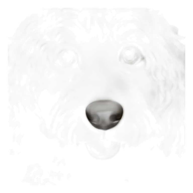 light cream australian doodle sticker