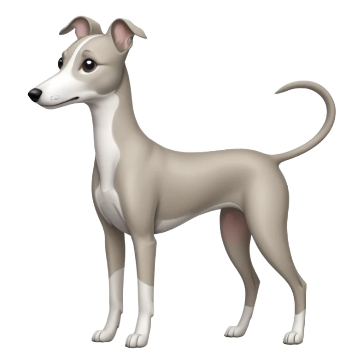 A grey and white whippet sticker